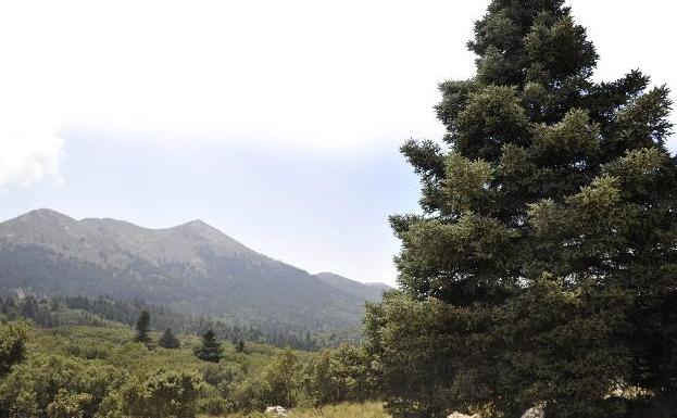 Junta y Estado avanzan en el anteproyecto de ley para declarar Parque Nacional la Sierra de las Nieves