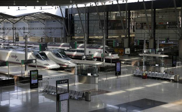 Trenes de varios modelos en los andenes de la estación María Zambrano de la capital. 