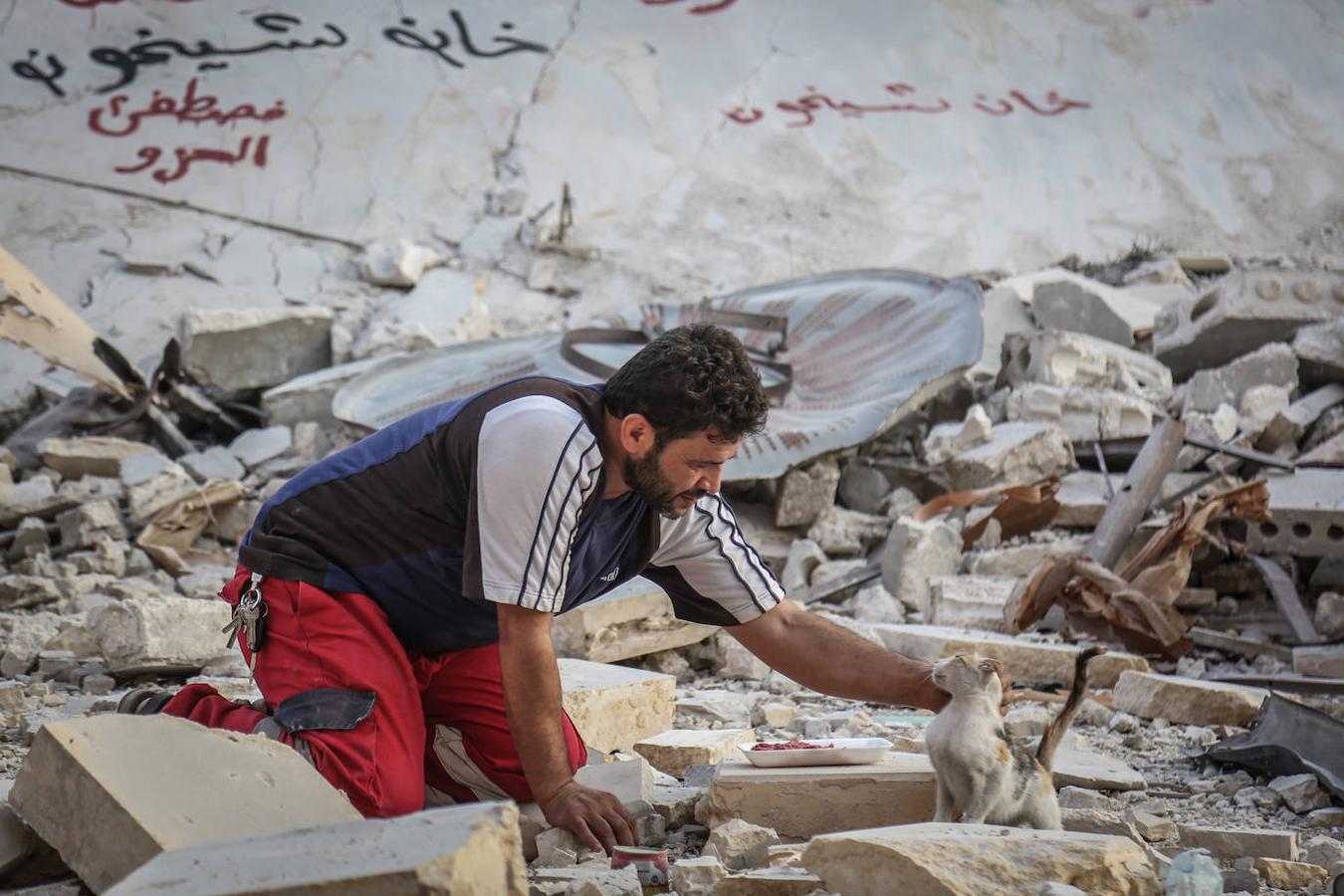 Durante la guerra siria en 2012, Al-Jaleel trabajaba como conductor de ambulancia en Alepo y solía dejar comida para gatos callejeros y abandonados. En 2015 comenzó a buscar gatos vivos en las zonas devastadas por la guerra para llevarlos a casa. Su trabajo con los animales se volvió viral y, con la ayuda de la italiana Alessandra Abidin, comenzó a recaudar fondos para servir construir «La casa de los gatos Ernesto». Además de más de 200 gatos, ahora el santuario tiene perros, monos, conejos y otros animales.