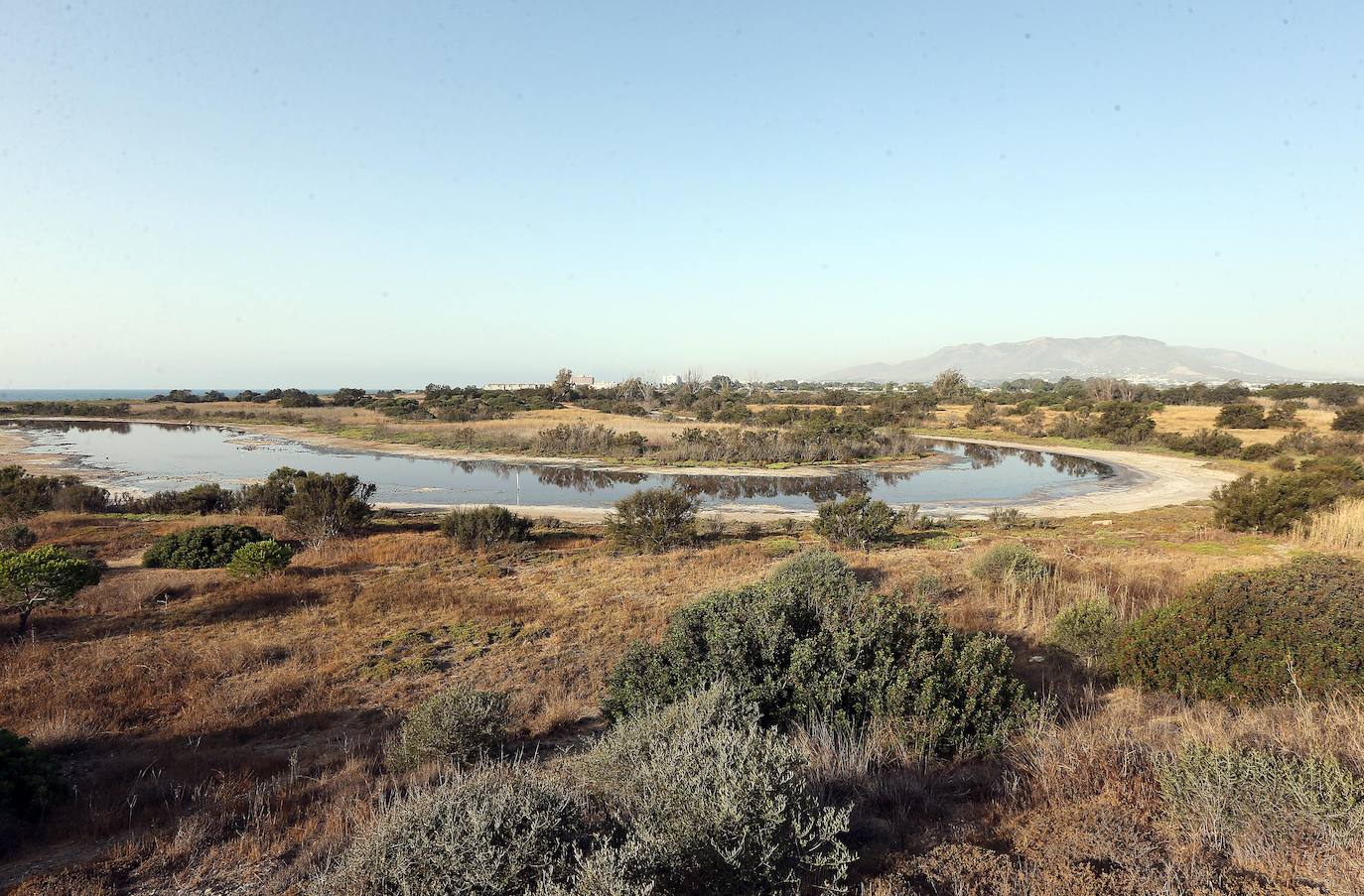 El paraje natural de la Desembocadura del Guadalhorce constituye un ejemplo de bioversidad única en Europa. En ningún otro sitio se pueden ver 270 especies de aves en un espacio tan reducido.