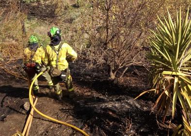 Imagen secundaria 1 - Imagen del incendio registrado en Torrox. 