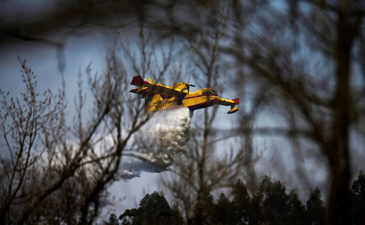 Hidroavión del Ejército del Aire descargando agua sobre un incendio forestal.
