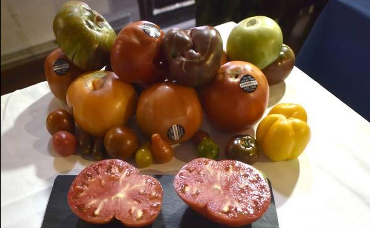 Ejemplares de tomate Huevo de Toro (archivo)