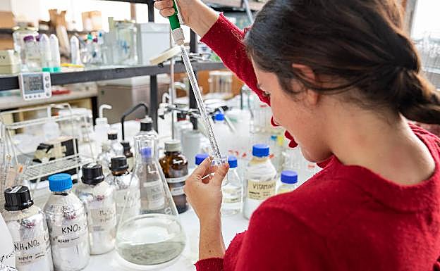 Una estudiante, en uno de los laboratorios de la Facultad de Ciencias de la UMA. 