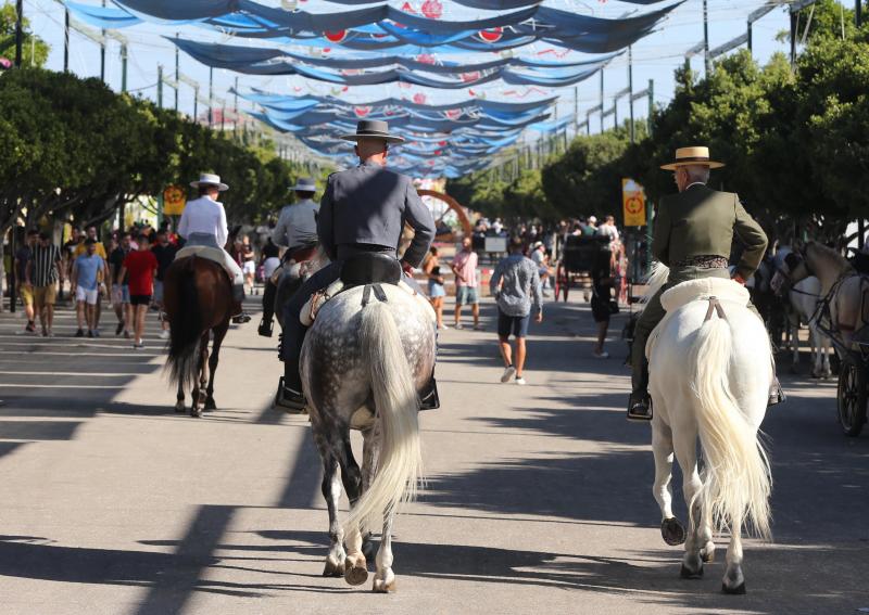 Las mejores imágenes de la jornada del viernes 16 de la Feria de Málaga. Ambiente de la primera noche en el Real