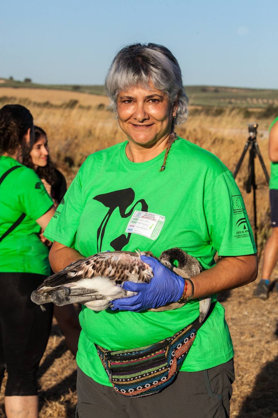 Más de 500 voluntarios de toda Andalucía acuden a la reserva natural para mantener una tradición fundamental en el estudio de este ave y su preservación.