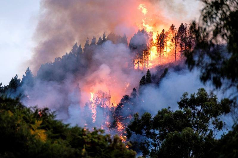 El fuego, extendiéndose en Gran Canaria.