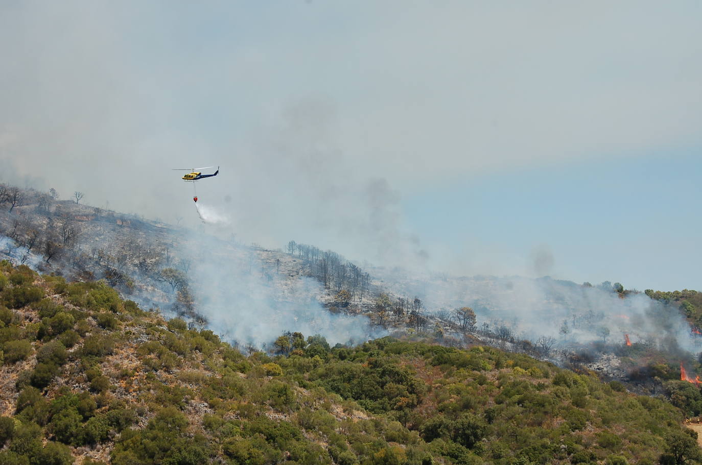 El fuego se originó en el paraje de Peñas Blancas. 