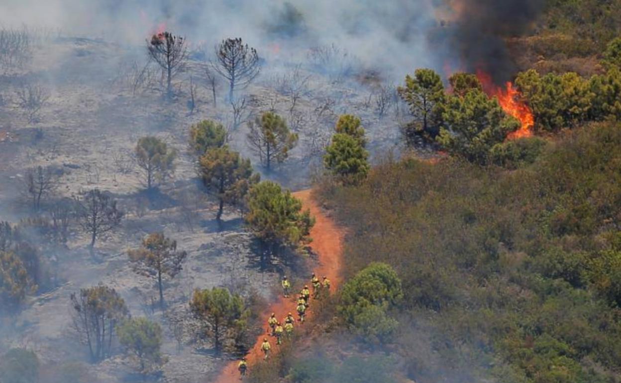 Un grupo de bomberos ayer en la zona. 