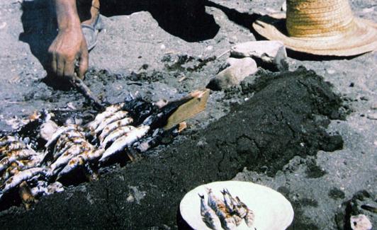 Preparando espetos. 