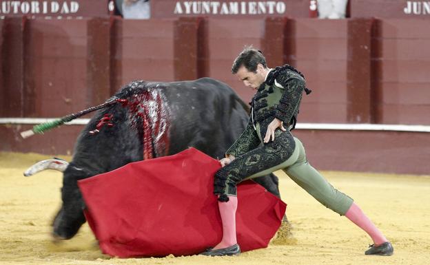 Juan Ortega doblándose en el inicio de faena al último. 