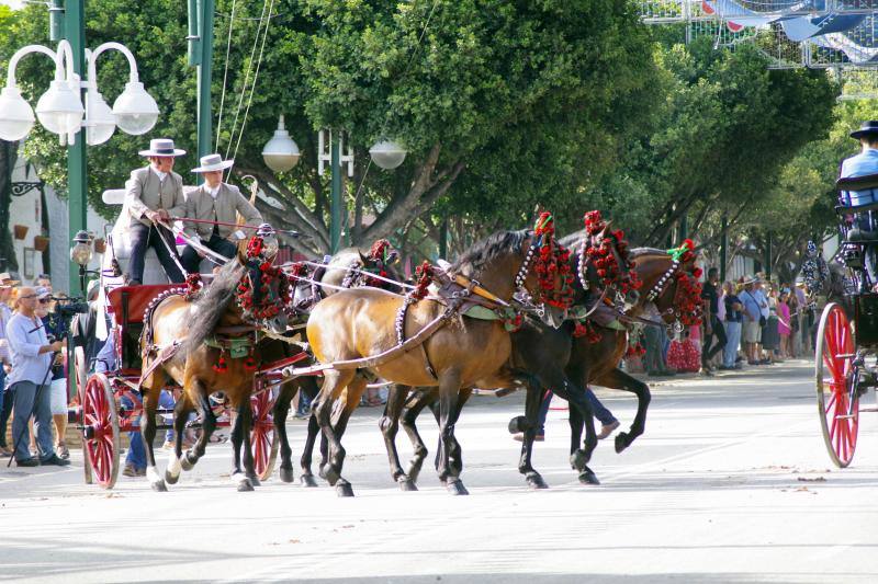 El recinto ferial acoge el certamen, que hasta ahora se había celebrado en La Malagueta. 