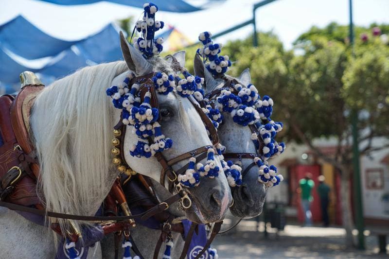 Miles de personas disfrutan un día más de la fiesta en el Real y el Centro. 