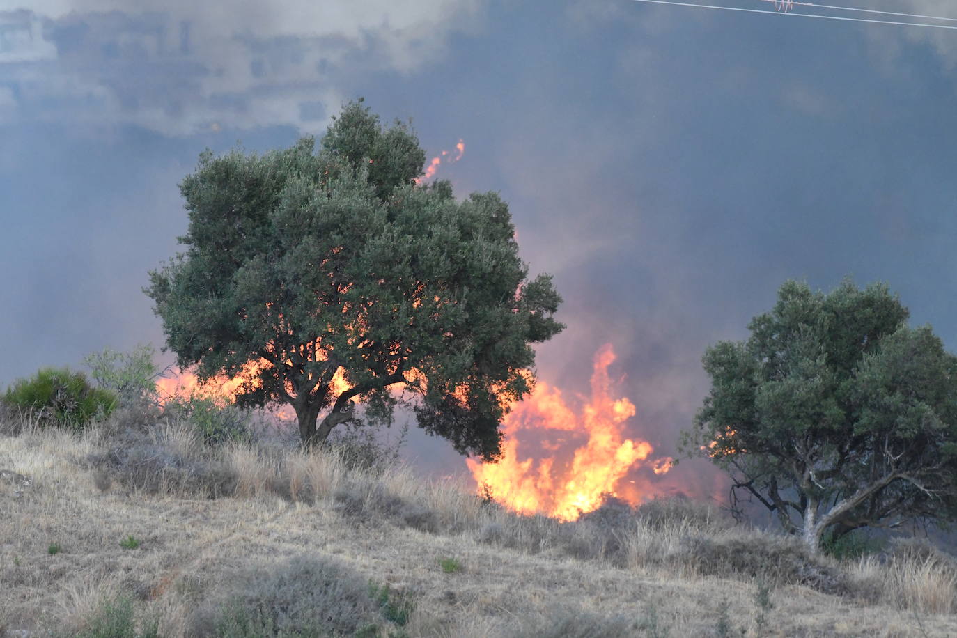 El fuego se originó en la zona conocida como Altos de Marbella. 