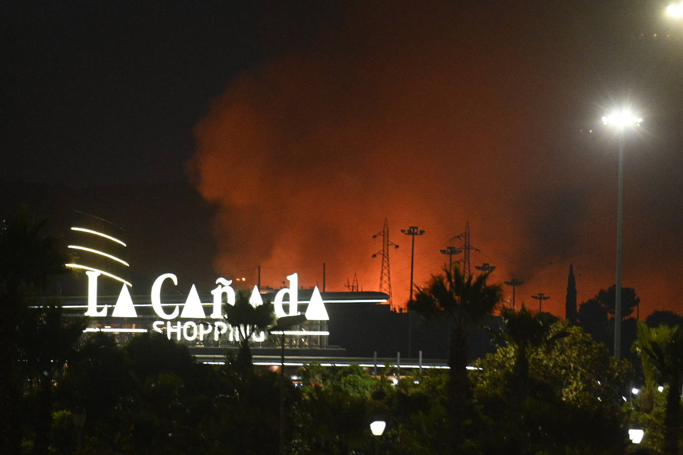 El fuego se originó en la zona conocida como Altos de Marbella. 