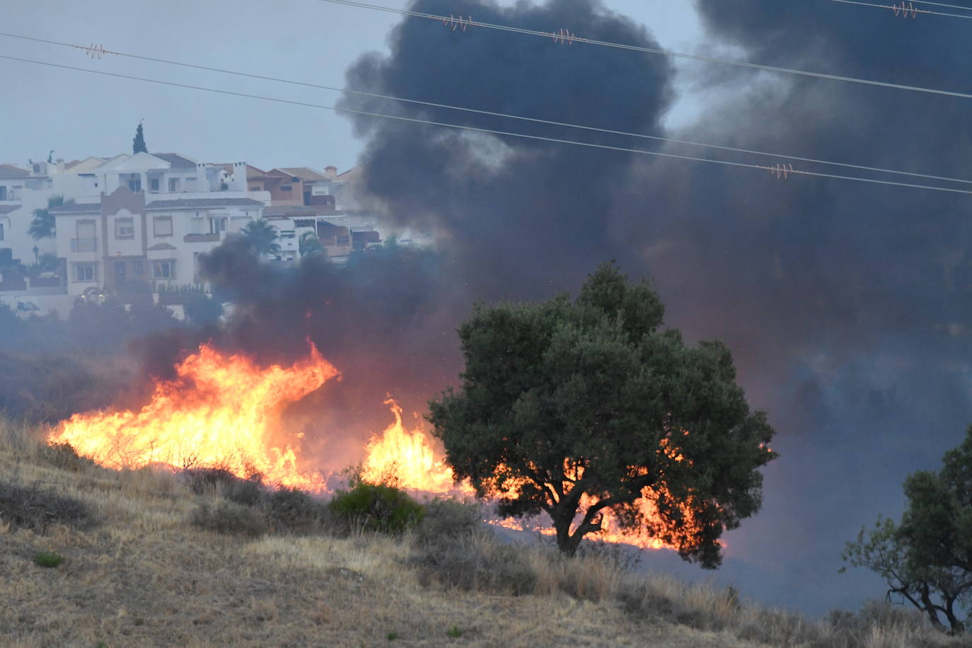 El fuego se originó en la zona conocida como Altos de Marbella. 
