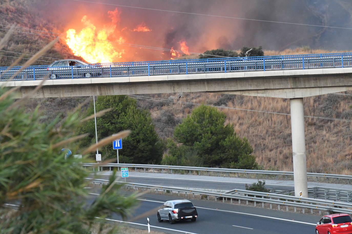 El fuego se originó en la zona conocida como Altos de Marbella. 