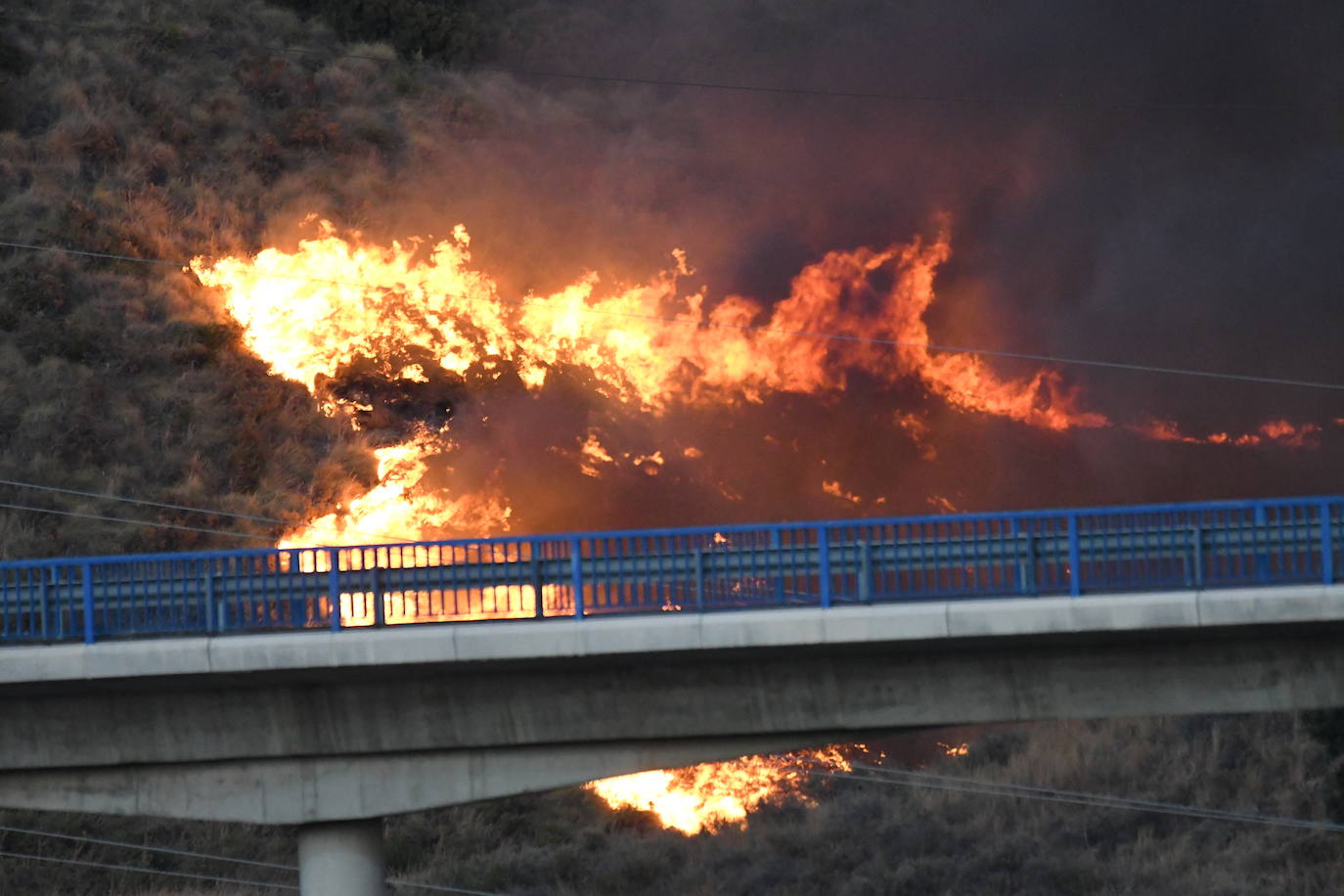 El fuego se originó en la zona conocida como Altos de Marbella. 