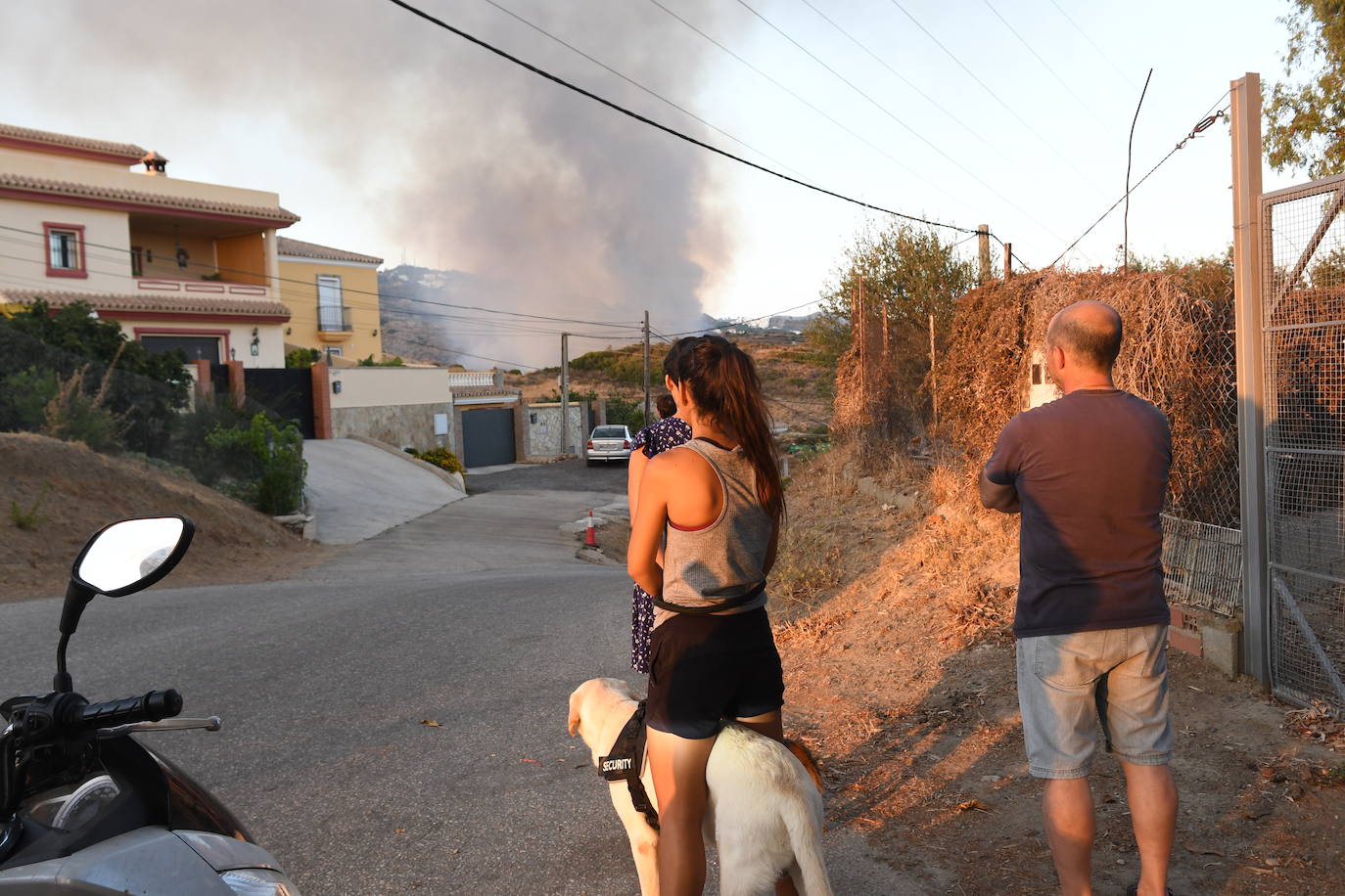 El fuego se originó en la zona conocida como Altos de Marbella. 