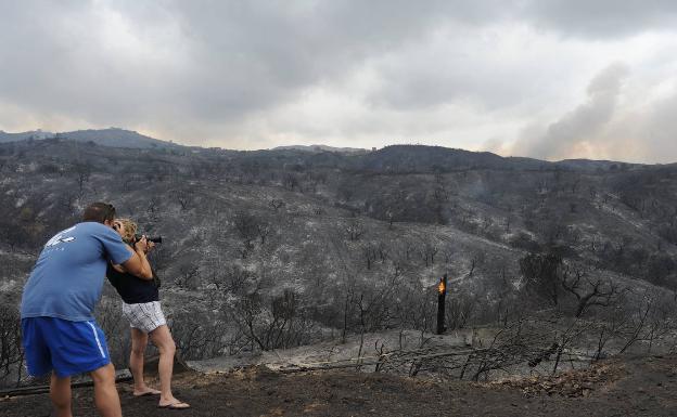 Imagen principal - Los incendios más devastadores de la década en Málaga