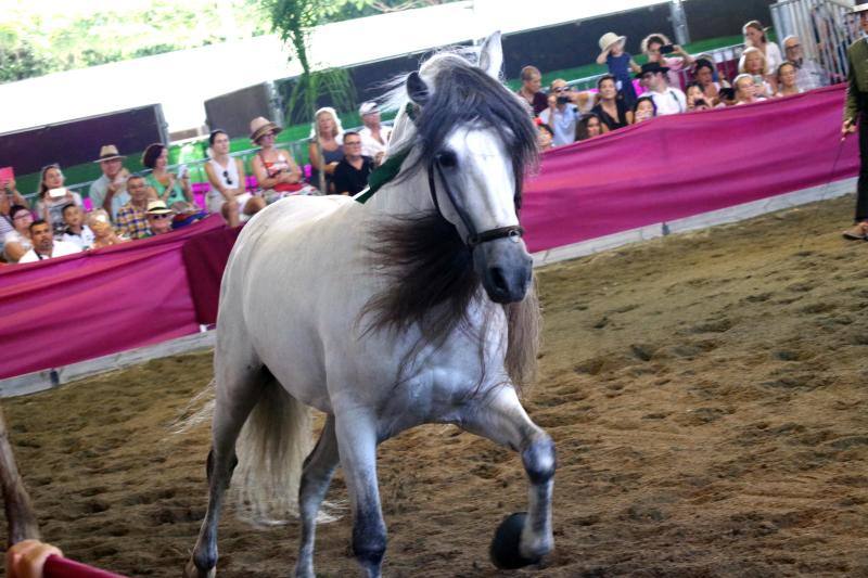 Miles de personas apuran las últimas horas de fiesta tanto en el Centro como en el Real. 