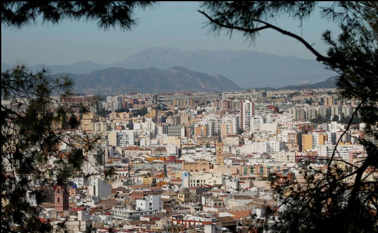 Veterinarios advierten del caso de un perro en Málaga «altamente sospechoso» de tener listeriosis