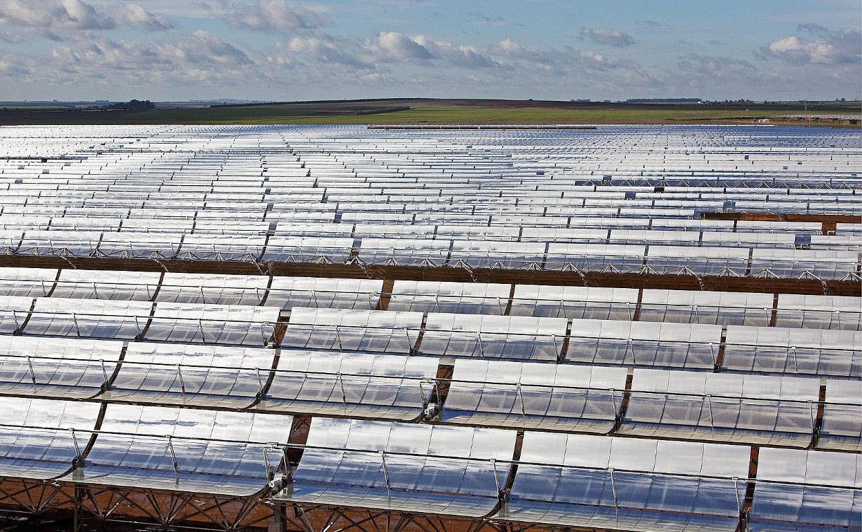 Una imagen tomada de una planta solar ubicada en Córdoba.