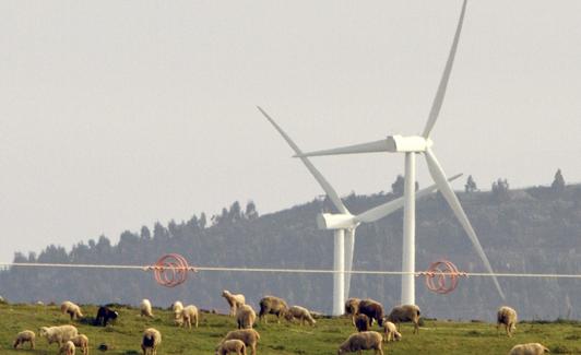 Campo eólico en Huelva