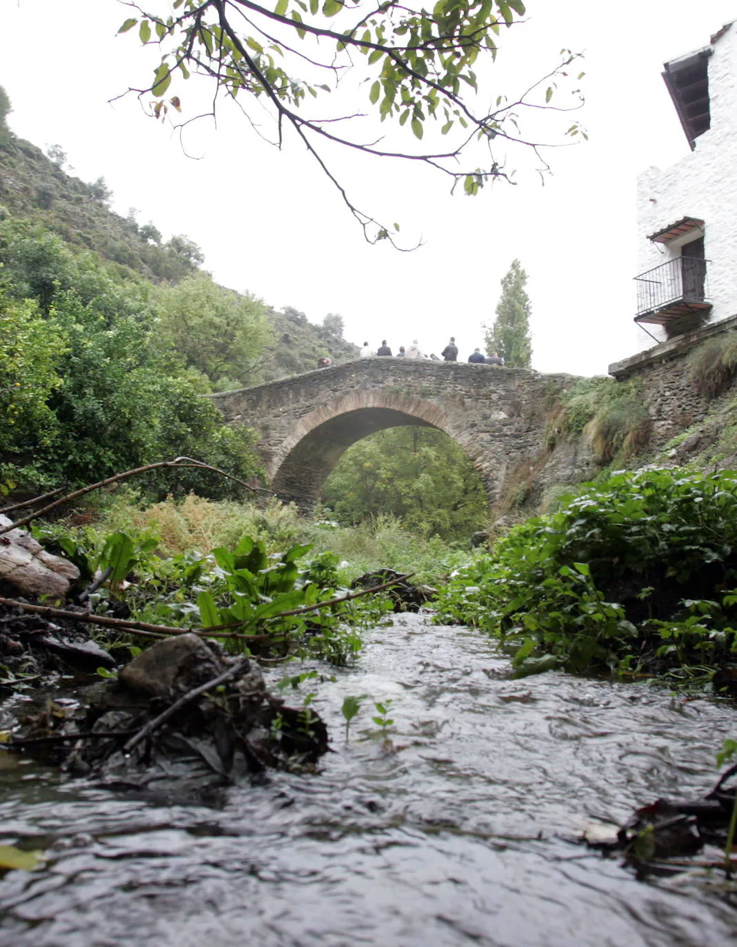 Puente medieval de Salares.