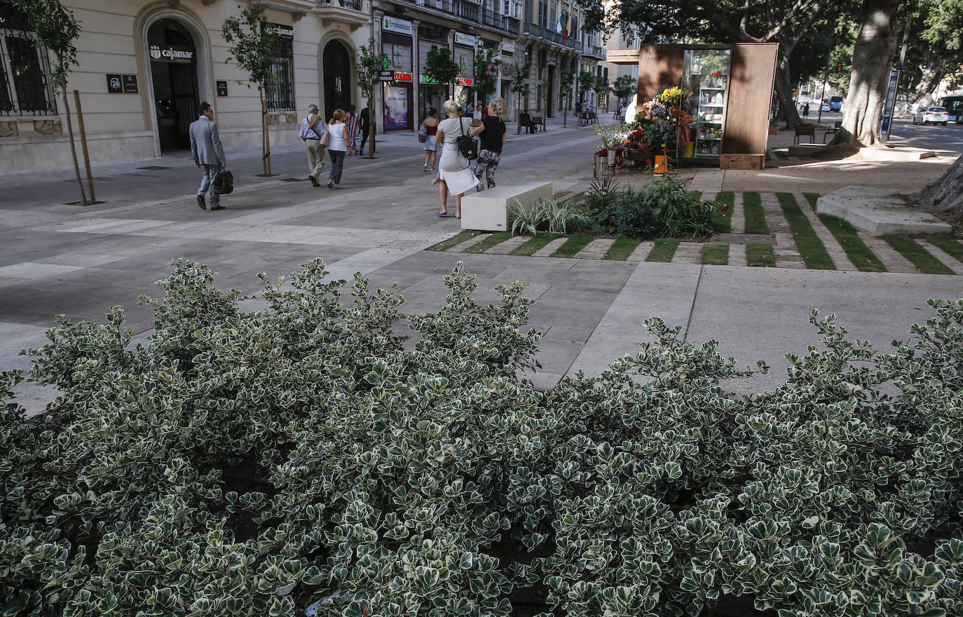 Se reabre esta arteria malagueña: un gran salón peatonal