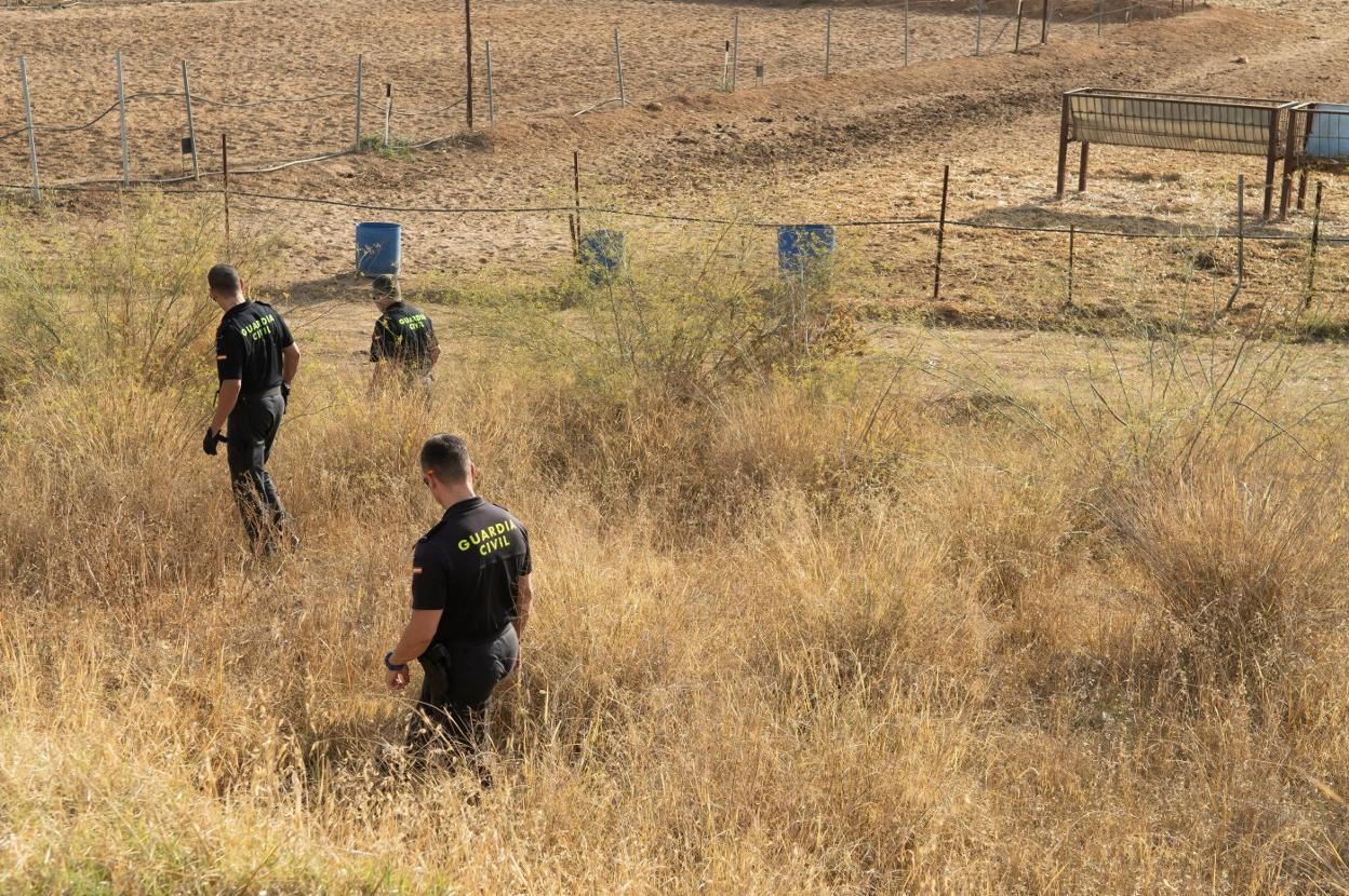 Guardias civiles rastrean Carmona en busca de la mujer. 