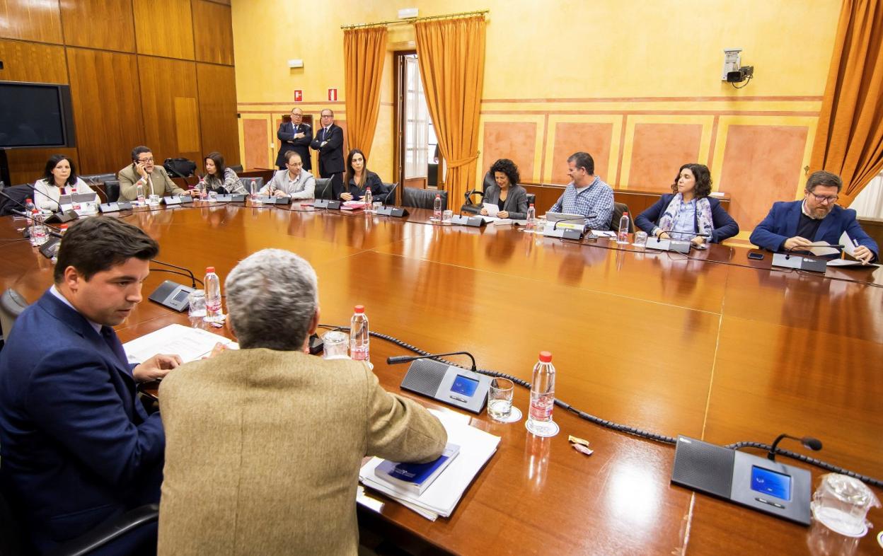 Reunión de la comisión parlamentaria que investiga la Faffe. :: efe