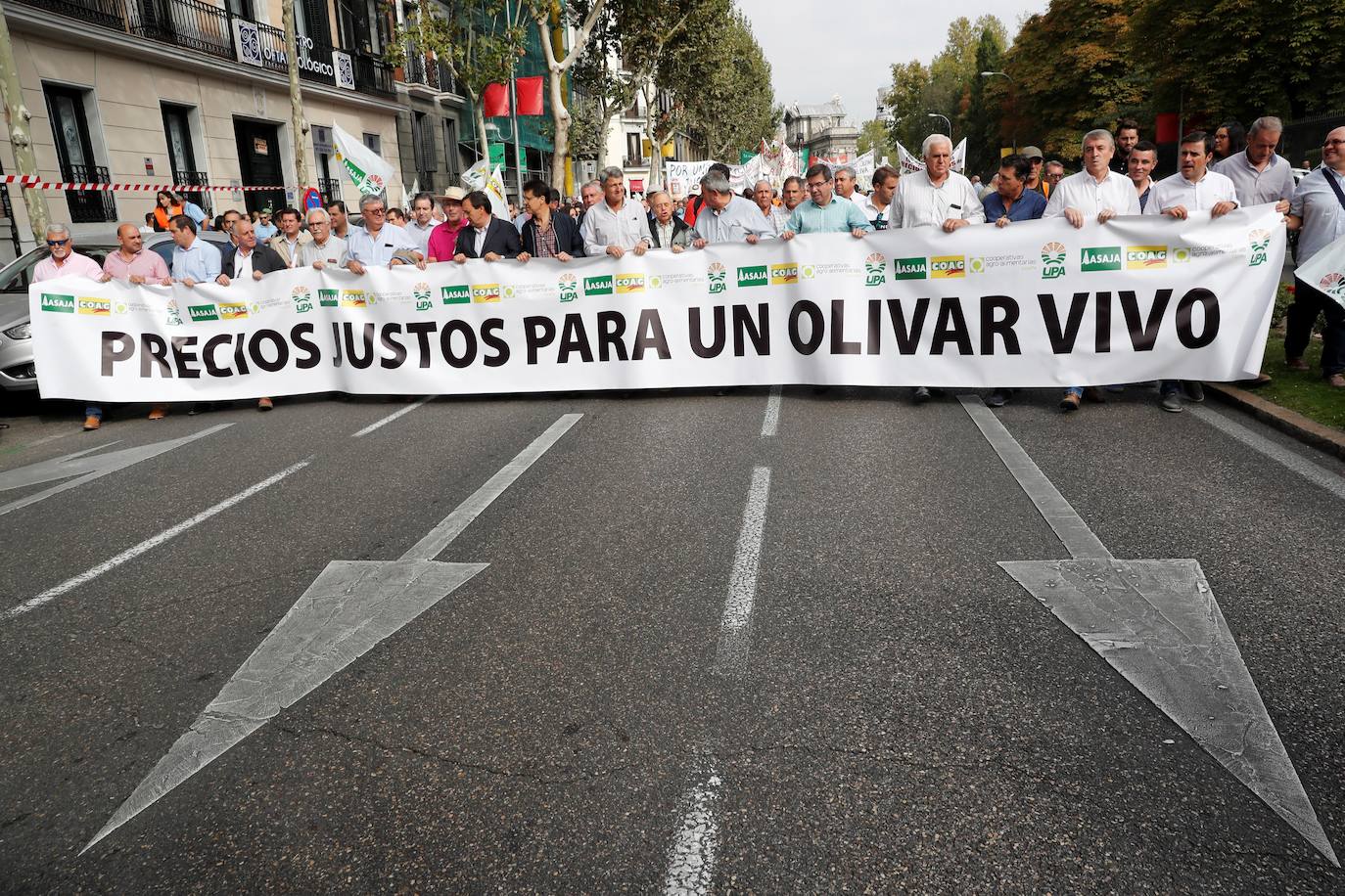 Fotos: En imágenes, la manifestación celebrada este jueves en Madrid bajo el lema &#039;Precios justos para un olivar vivo&#039;