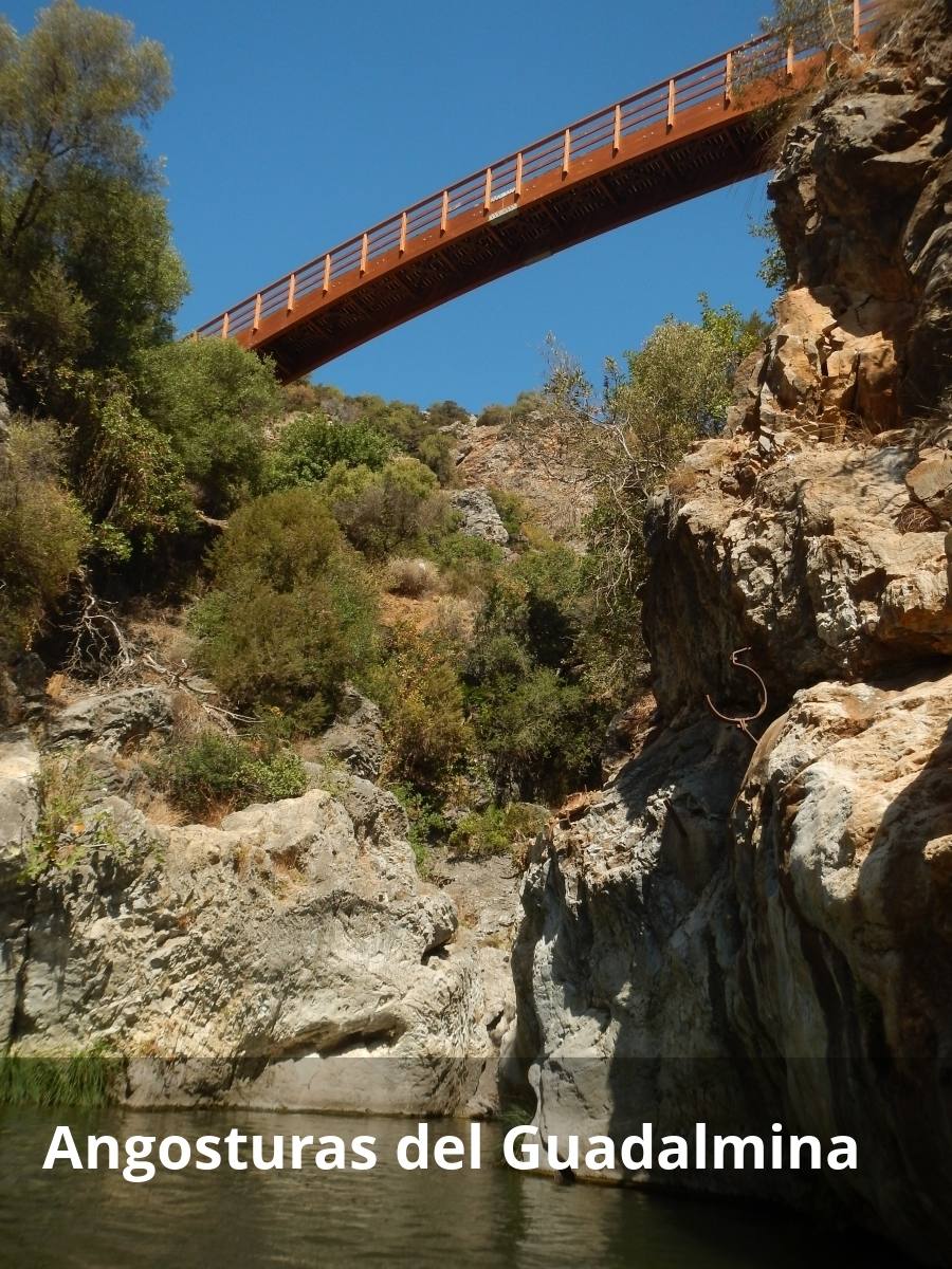 A un paso del pueblo de Benahavís, se puede ver una de las gargantas más espectaculares de Andalucía, la que recorre el río Guadalmina. Este desfiladero, conocido como las Angosturas, ofrece vistas espectaculares en algunos tramos, como el Tajo del Novio, que está situado junto al Charco de las Mozas, o la perspectiva que se obtiene desde un puente de madera que sirve para pasar al otro lado del río (desde la carretera de Benahavís). Ya sea desde esta pasarela o desde la ruta senderista que discurre junto a una acequia, las vistas son inconmensurables. 