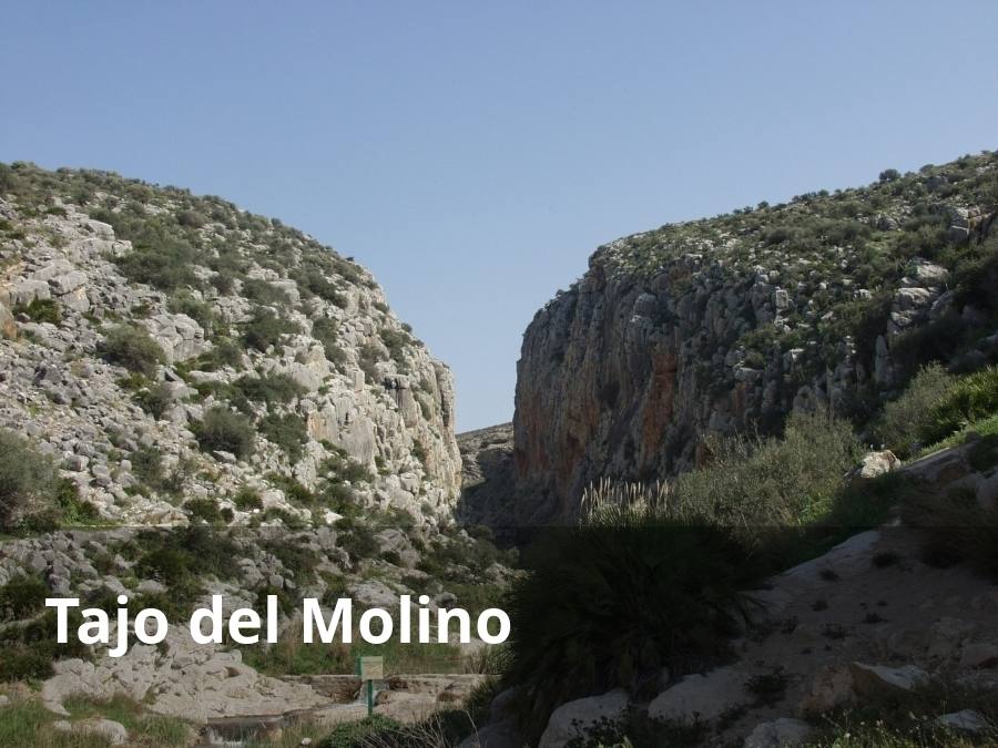 Esta garganta, que es atravesada por el arroyo de la Venta, se encuentra en el término municipal de Teba. De hecho, desde su entrada se avista tanto el pueblo como el famoso castillo de La Estrella. Existe una ruta de senderismo que penetra en su interior salvando el cauce del riachuelo (suele llevar agua entre otoño y primavera). El itinerario atraviesa esta inmensa garganta kárstica que también recibe el nombre de Torró. Tiene una longitud aproximada de 800 metros. Desde el camino se puedee descubrir la belleza interior de este cañón. Además, se podrán apreciar las numerosas cavidades que hay en ambas paredes. En muchas de ellas, se han encontrado valiosos yacimientos arqueológicos. Hoy este desfiladero está declarado como Rincón Singular de Málaga por la Diputación de Málaga.