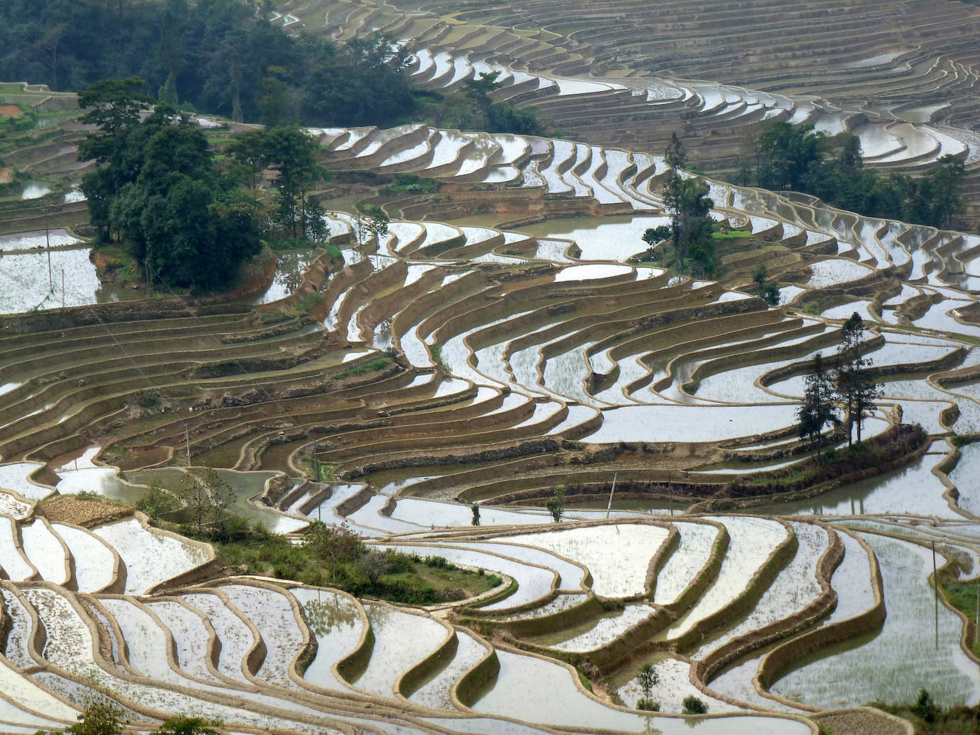 Yuanyang (China) | Estas impactantes terrazas de arroz existen desde al menos 1.300 años y, por el clima, sólo permiten una cosecha anual. Su increíble y colorido entorno se ha preservado a lo largo de los siglos gracias a su remota localización.