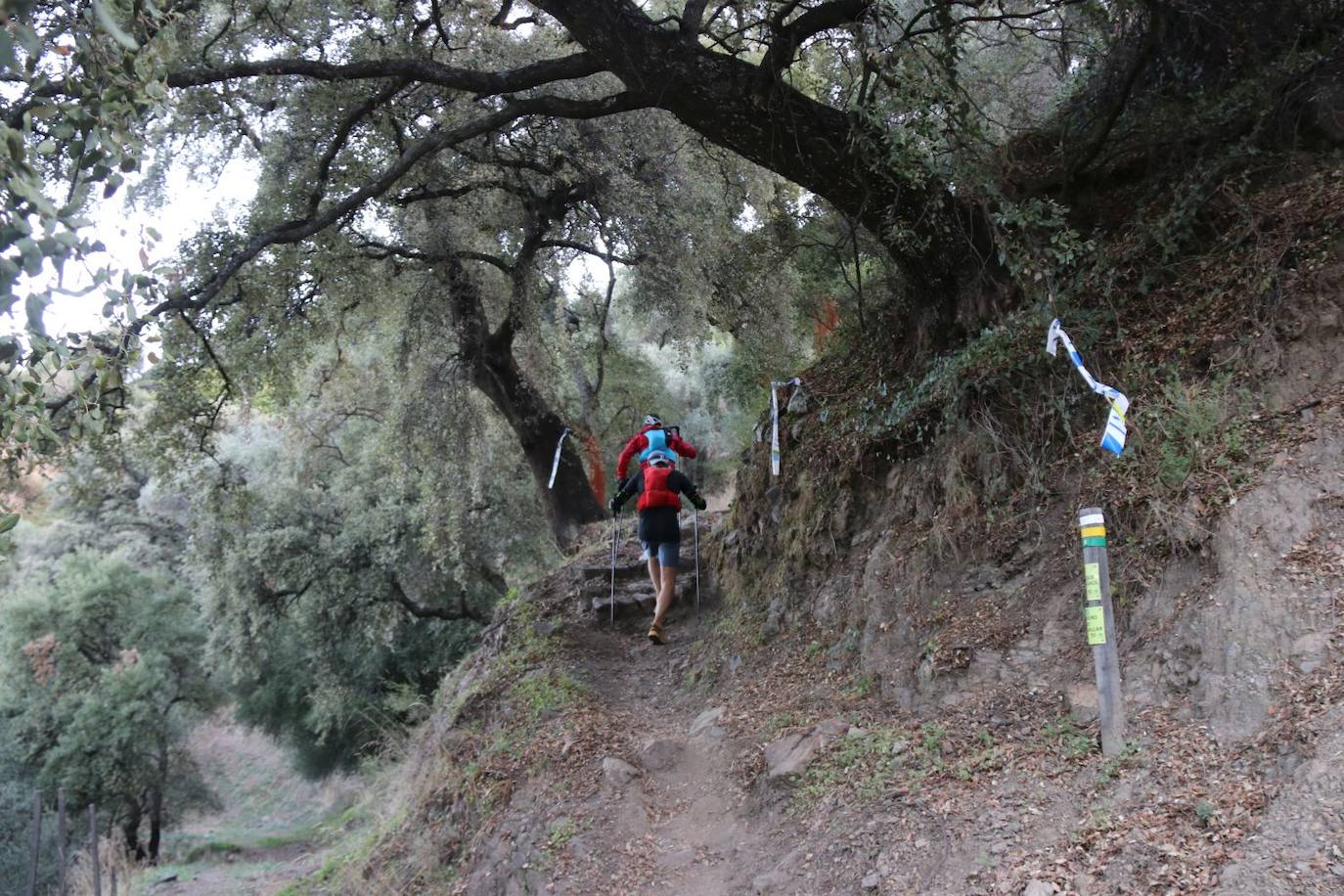 Las pruebas de las 100 millas y la categoría Ultra de la Gran Vuelta congregan a cientos de deportistas de pueblo en pueblo este sábado