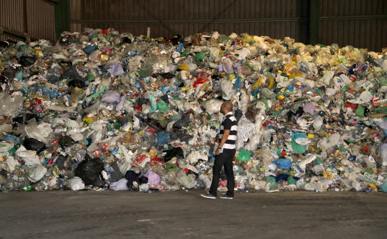 Contenedores de Reciclaje I Relevo I Bolsas de Basura Plástico Reciclado