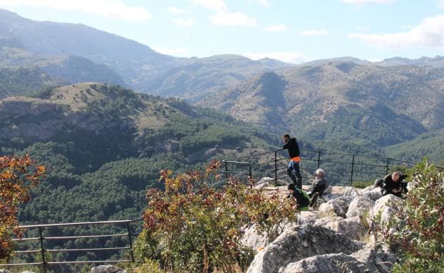 Monumento natural del mirador del Guarda Forestal.