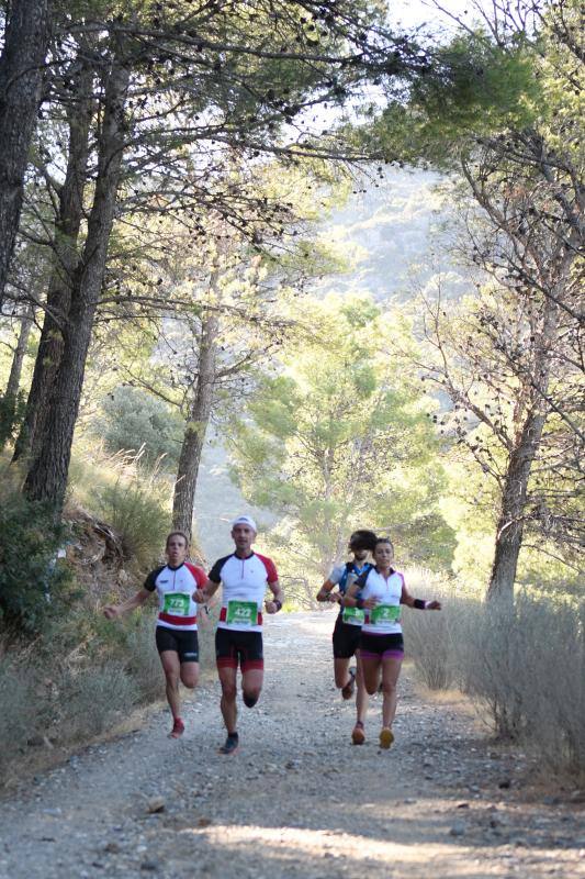 Imágenes de la 18ª edición del mítico recorrido por la sierra alhaurina donde han participado un total de 1.450 corredores 
