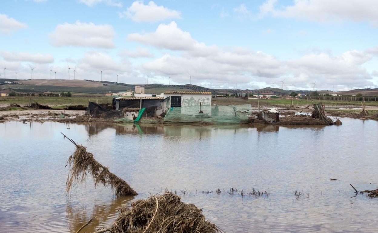Campillos sufrió importantes daños hace un año por las inundaciones. 
