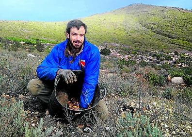Imagen secundaria 1 - Arriba, un grupo de vecinos de la Sierra de Gata que se puso a la obra tras el incendio de 2015. Sobre estas líneas, Bongui recoge bellotas en la Sierra de Gata y varios niños colaborando en el campo 
