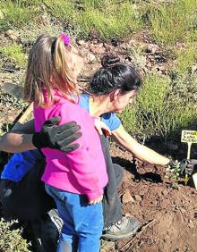 Imagen secundaria 2 - Arriba, un grupo de vecinos de la Sierra de Gata que se puso a la obra tras el incendio de 2015. Sobre estas líneas, Bongui recoge bellotas en la Sierra de Gata y varios niños colaborando en el campo 