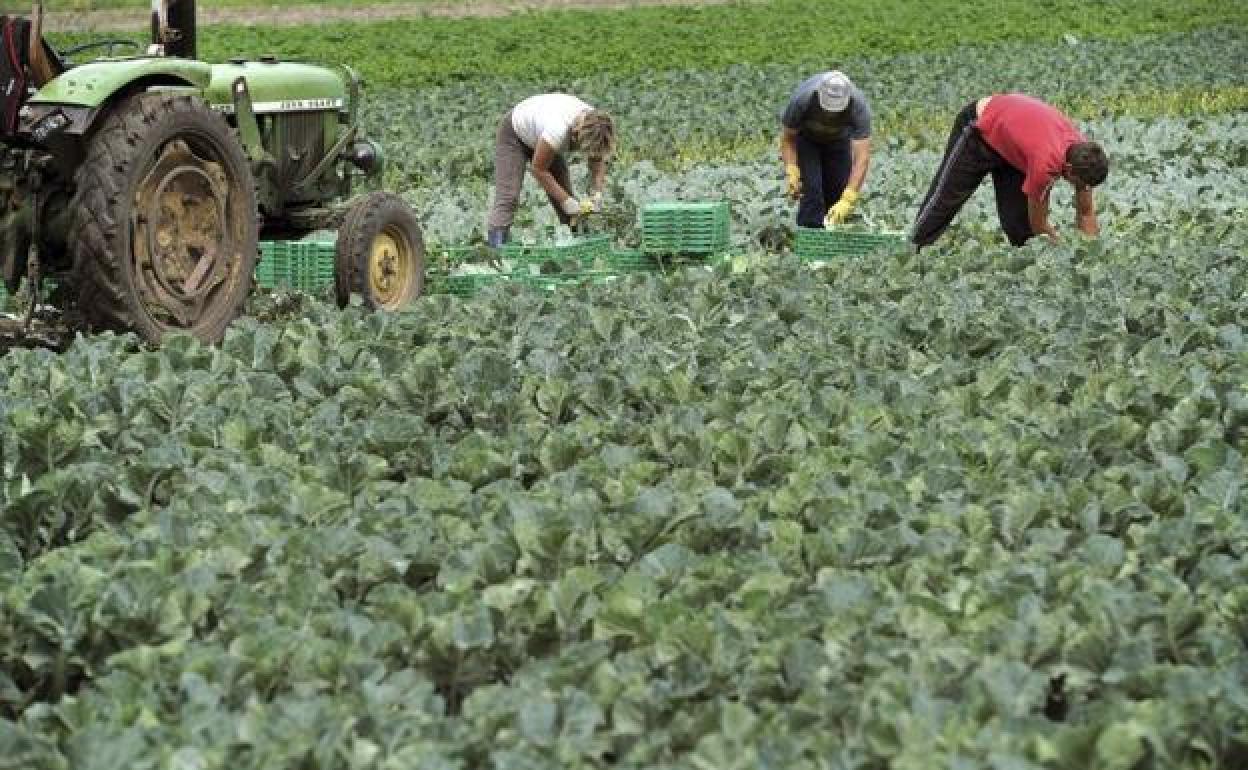 La Junta beneficia a 73 jóvenes agricultores de la provincia con las ayudas de 2018