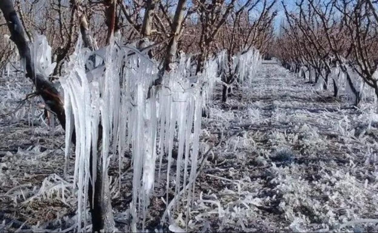 Dieta y cambio climático