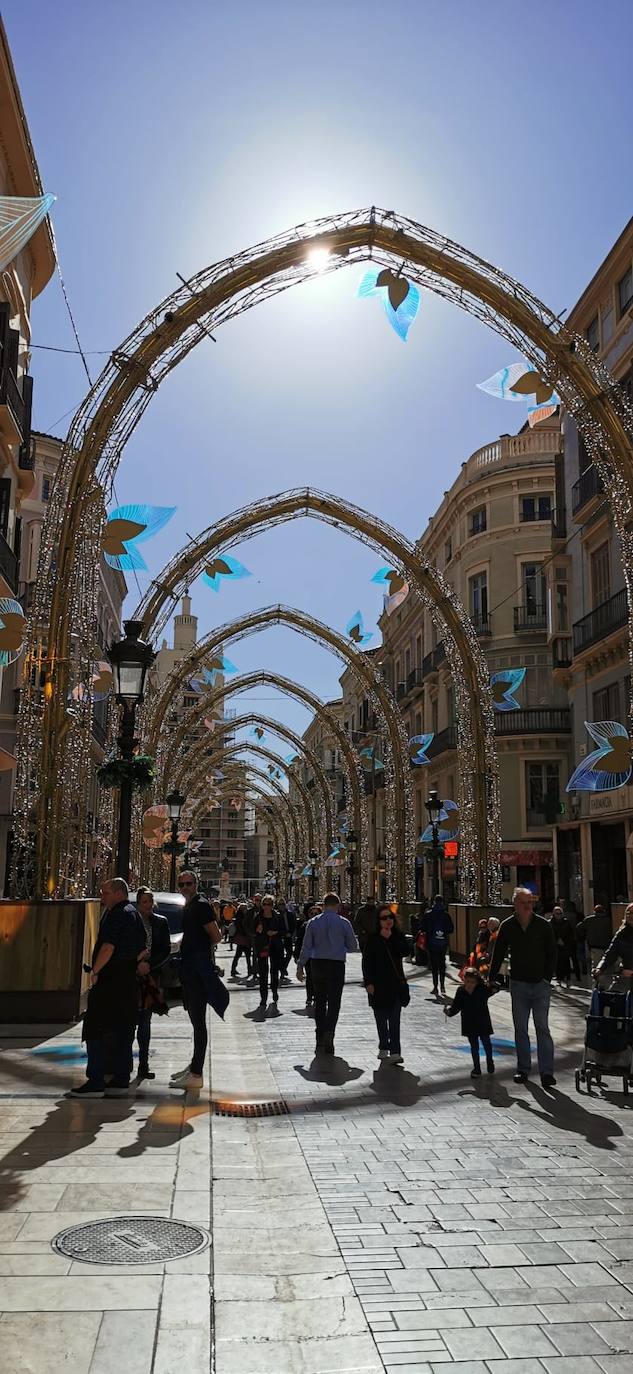 El bosque navideño en el que se convertirá este año la céntrica vía malagueña ya se encuentra casi listo. Aunque aún habrá que esperar al próximo 29 de noviembre para verlo iluminado.