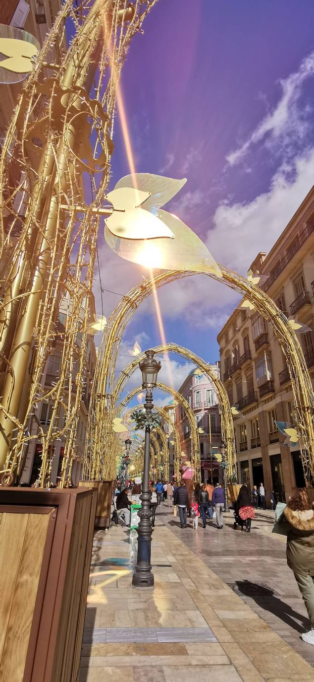 El bosque navideño en el que se convertirá este año la céntrica vía malagueña ya se encuentra casi listo. Aunque aún habrá que esperar al próximo 29 de noviembre para verlo iluminado.
