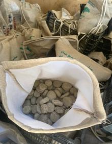 Imagen secundaria 2 - Lanzan 25.000 bombas de semillas en una zona de Casares afectada por el incendio forestal del pasado verano