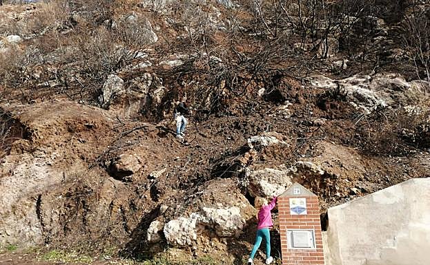 Imagen principal - Lanzan 25.000 bombas de semillas en una zona de Casares afectada por el incendio forestal del pasado verano