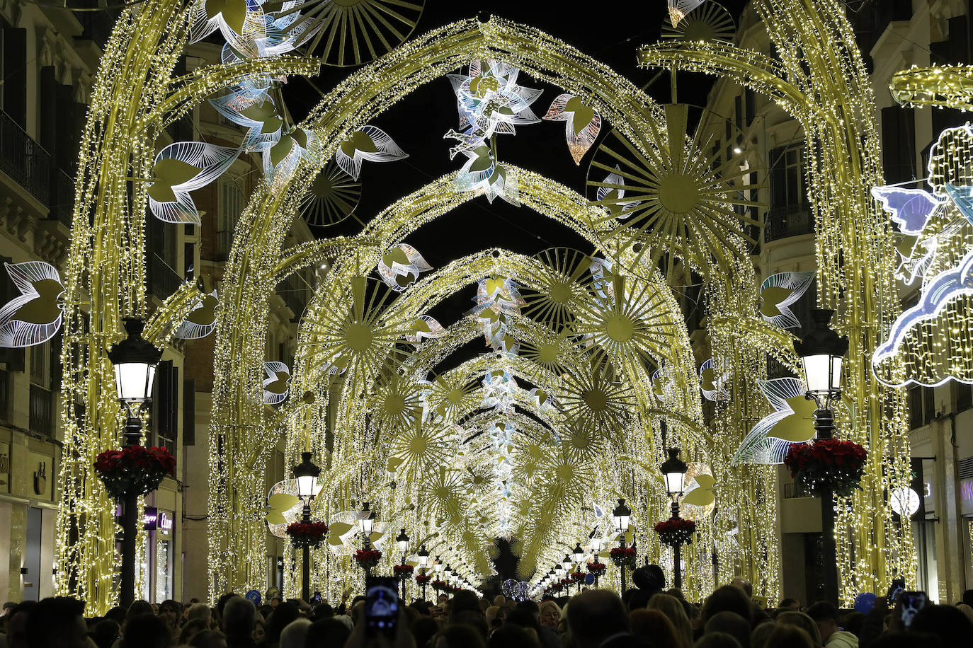 Durante los 40 días que duren los fastos navideños, la calle Larios se transformará en un bosque lleno de hojas y soles